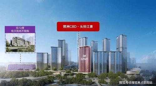 琶洲新房爆料最新消息新闻,最新爆料揭示价格、户型及开盘时间揭秘
